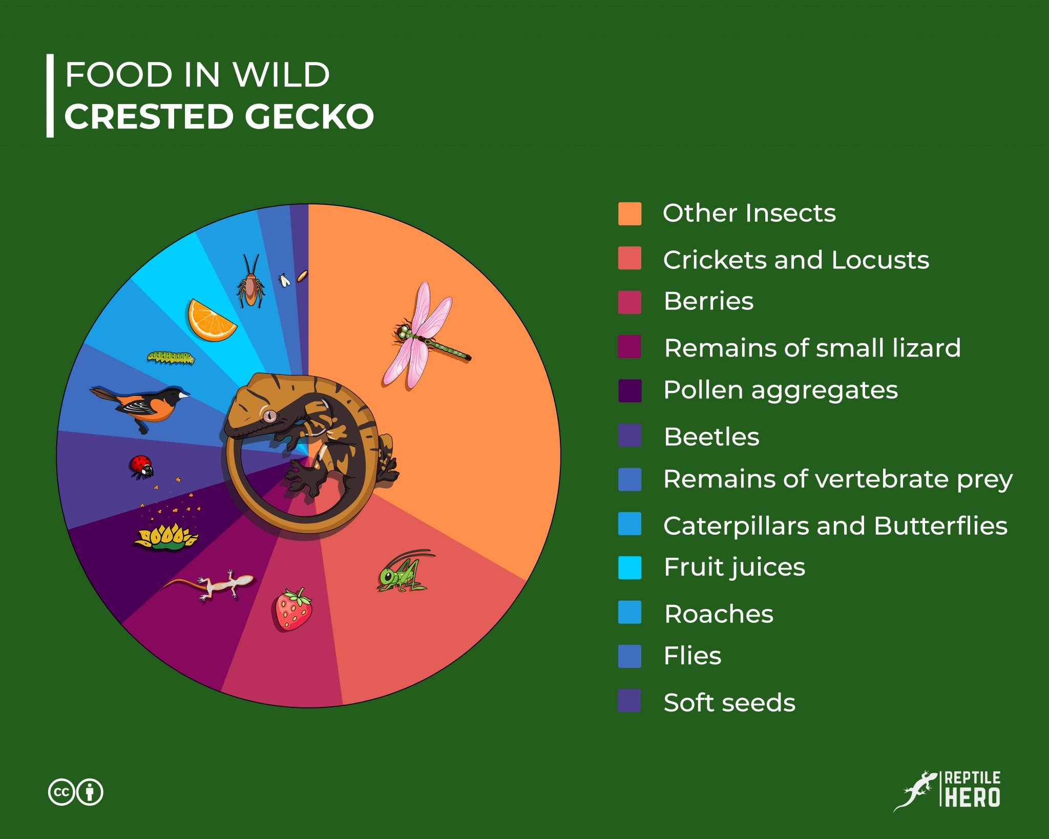 Homemade Crested Gecko Food [10 Recipes] - Reptile Hero