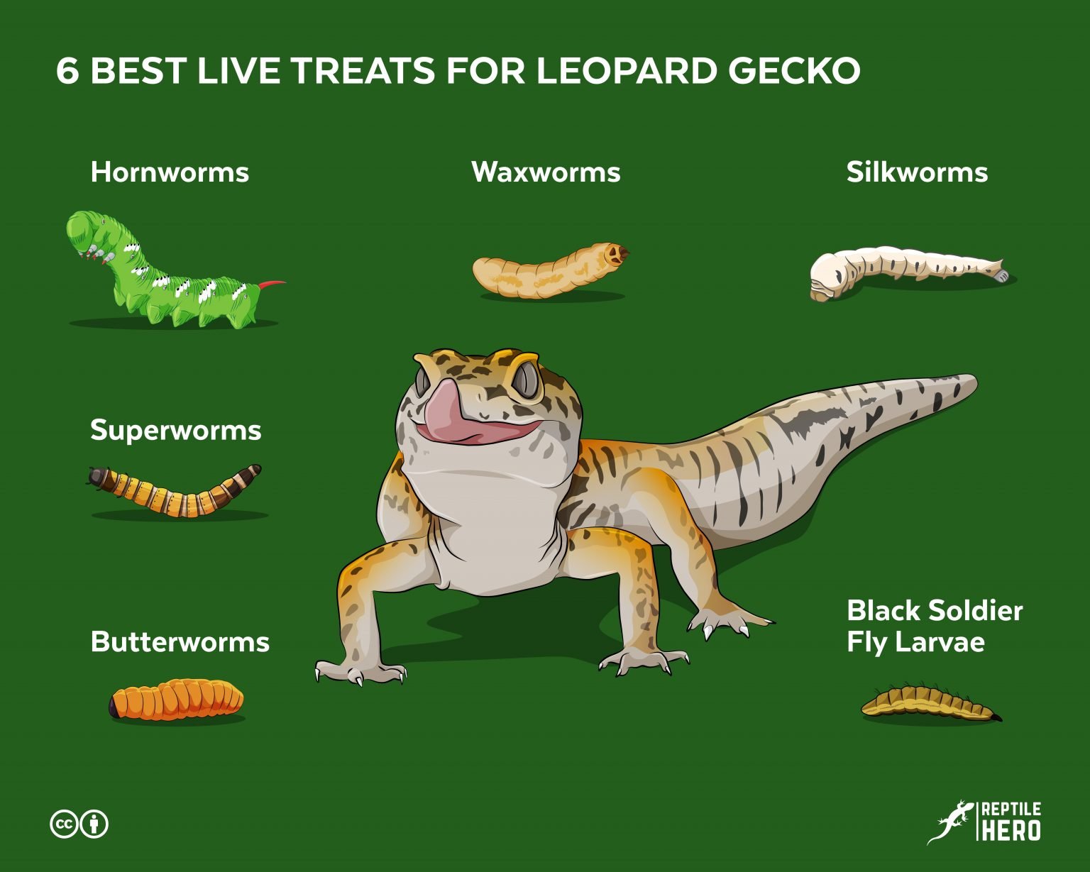 The 3 Best Treats To Make Your Leopard Gecko (Really) Happy Reptile Hero