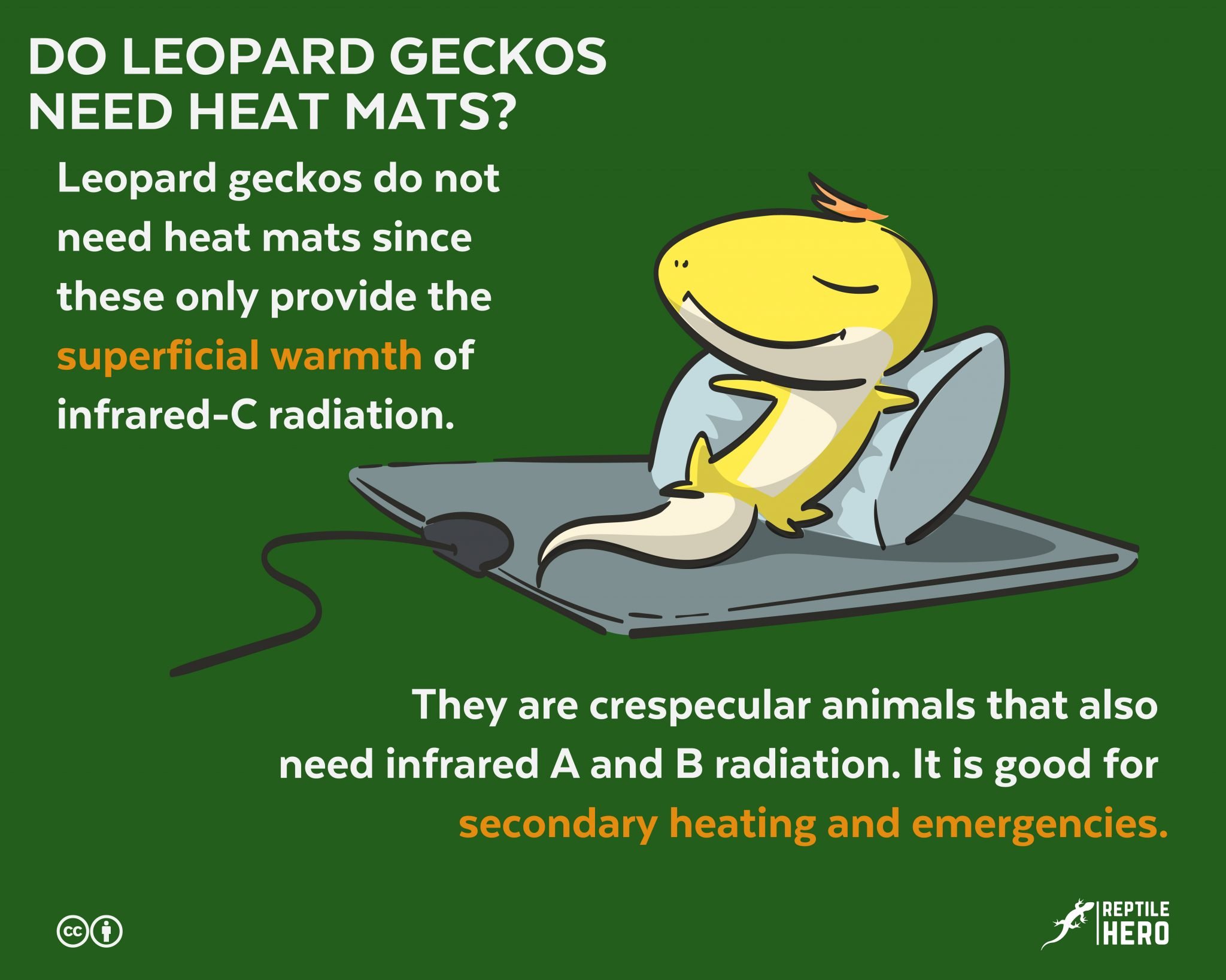 Do Leopard Geckos Need Heat Mats? [Myth Or Truth] Reptile Hero